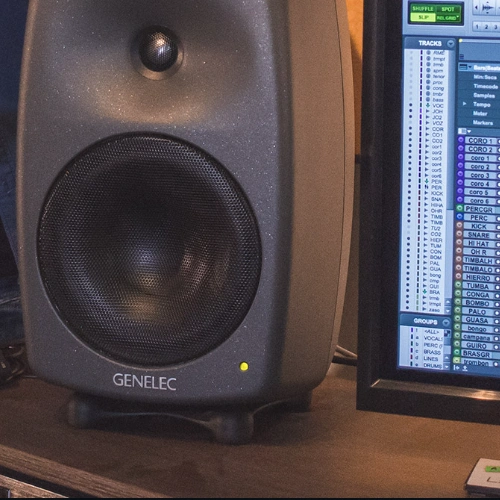 genelec referans monitor2.webp (99 KB)