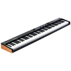 Numa Compact 2 - 88-Tuş, Dahili Hoparlöre Sahip Yarı Ağırlıklı MIDI ve Piyano - 2